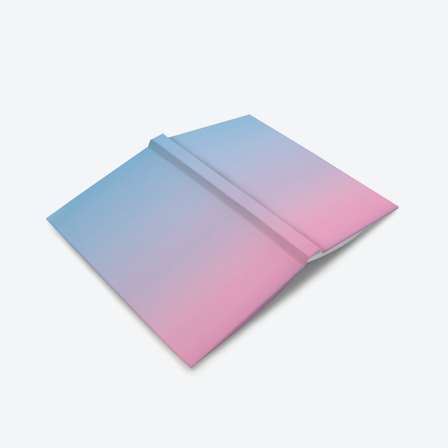 Pink and Blue Sky Journal