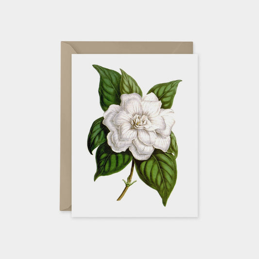 Card Printing-Greeting & Note Cards-The Design Craft