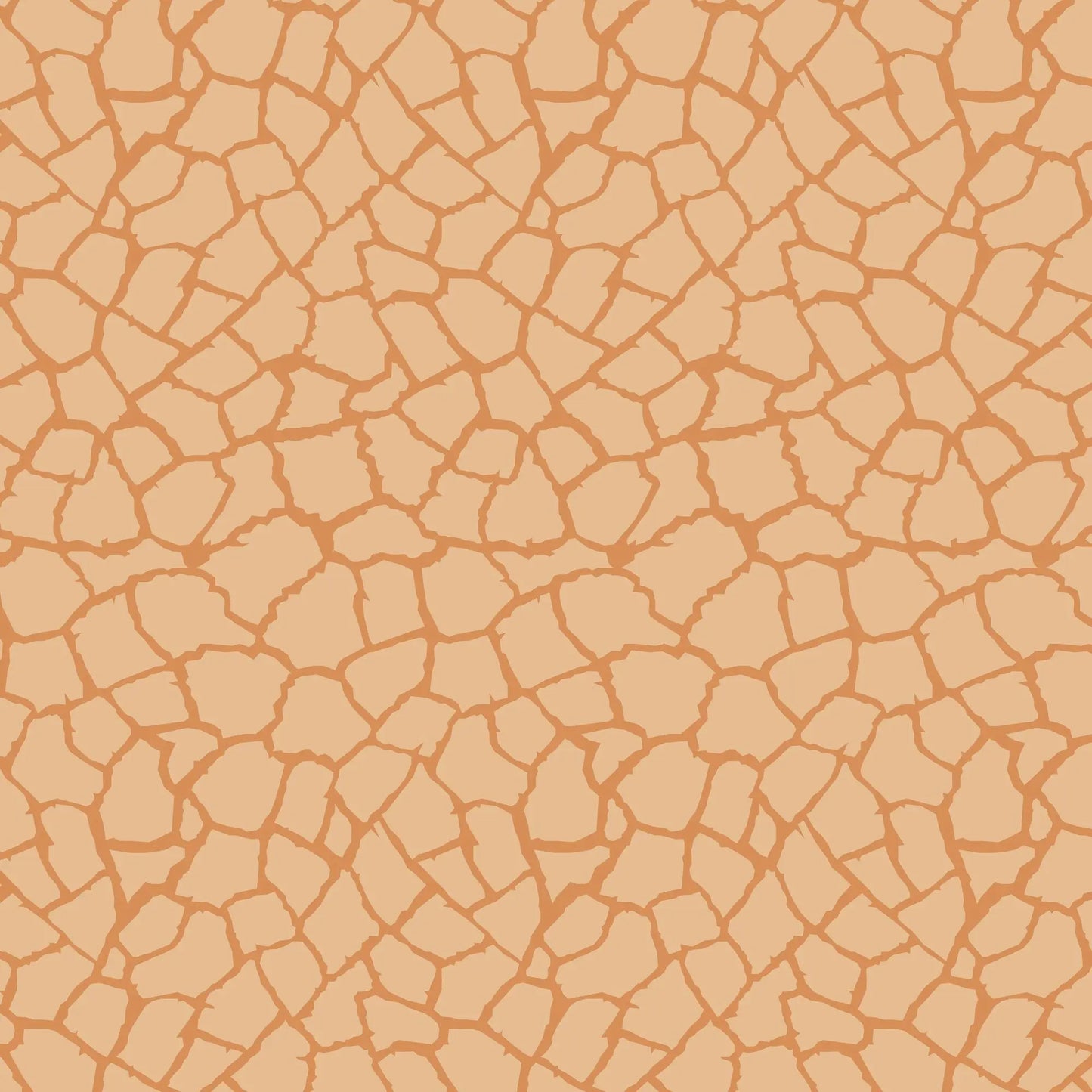 Cracked Earth Tectonic Gift Wrap