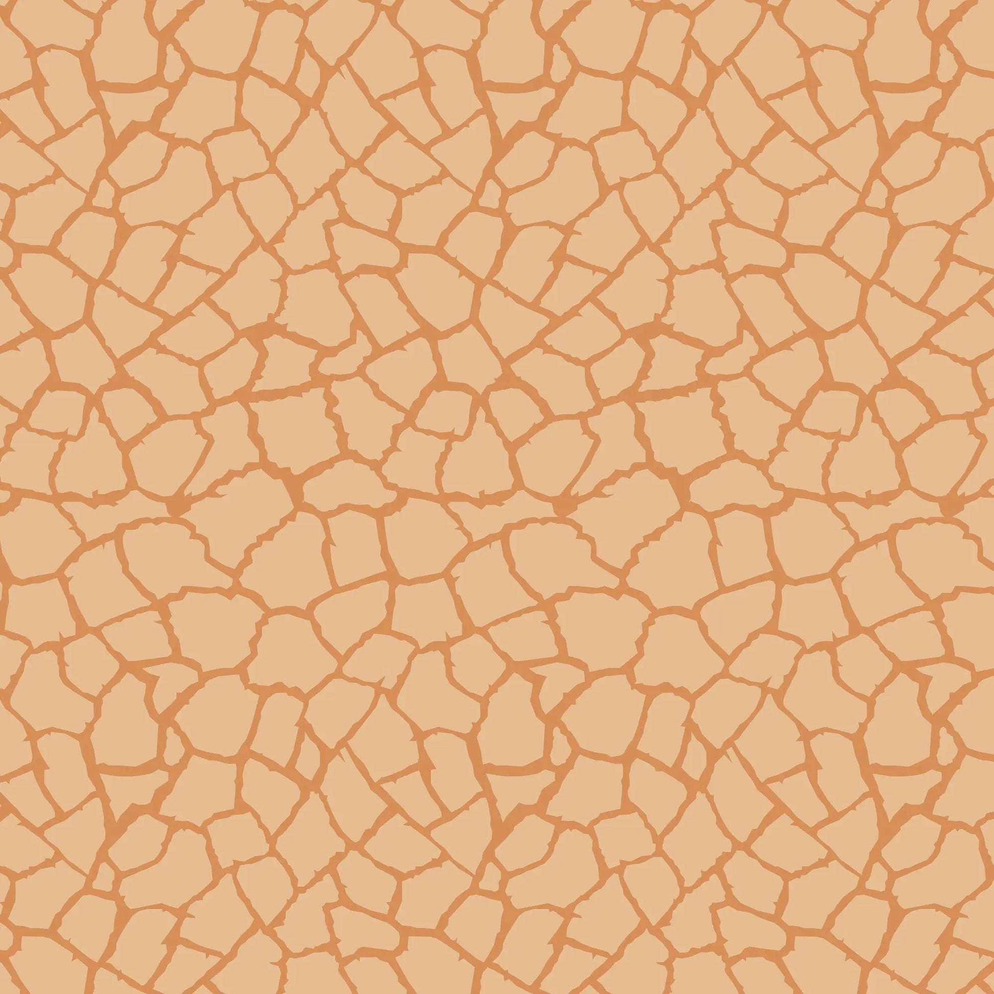 Cracked Earth Tectonic Gift Wrap