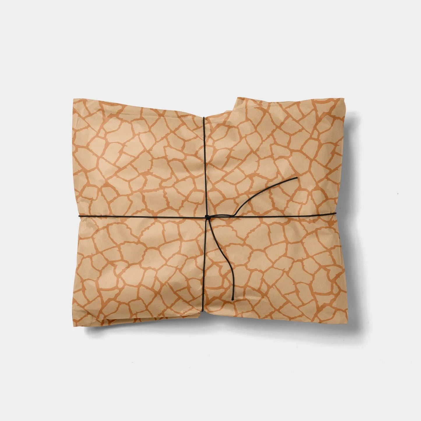 Cracked Earth Tectonic Gift Wrap