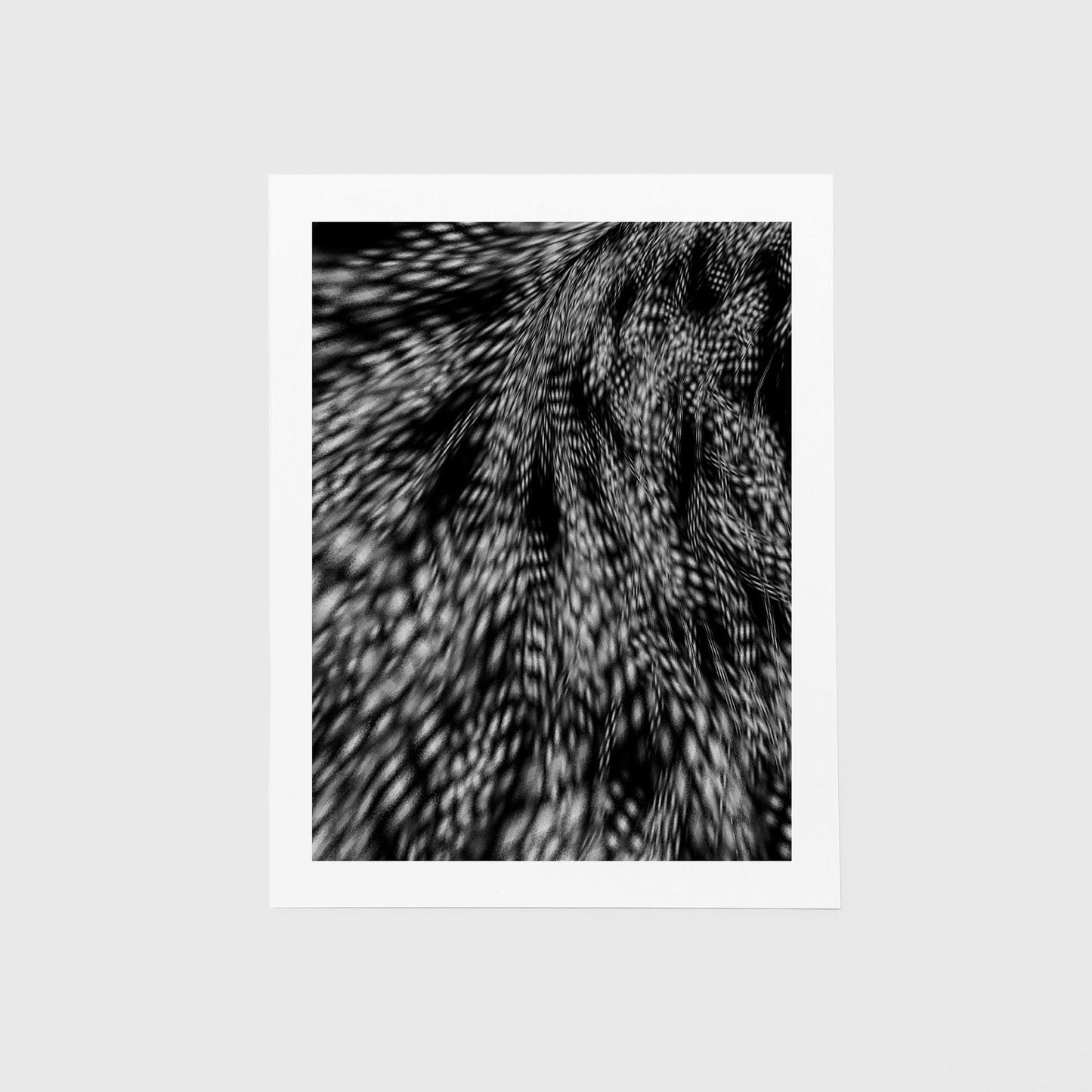 Featherlike-Abstract-The Design Craft