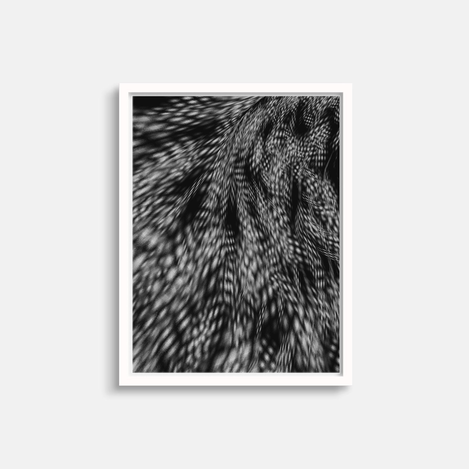 Featherlike-Abstract-The Design Craft