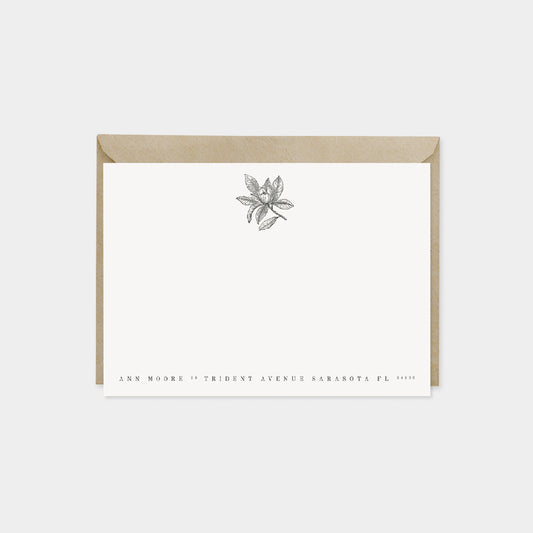 Magnolia Glauca Botanical Note Cards-Greeting & Note Cards-The Design Craft