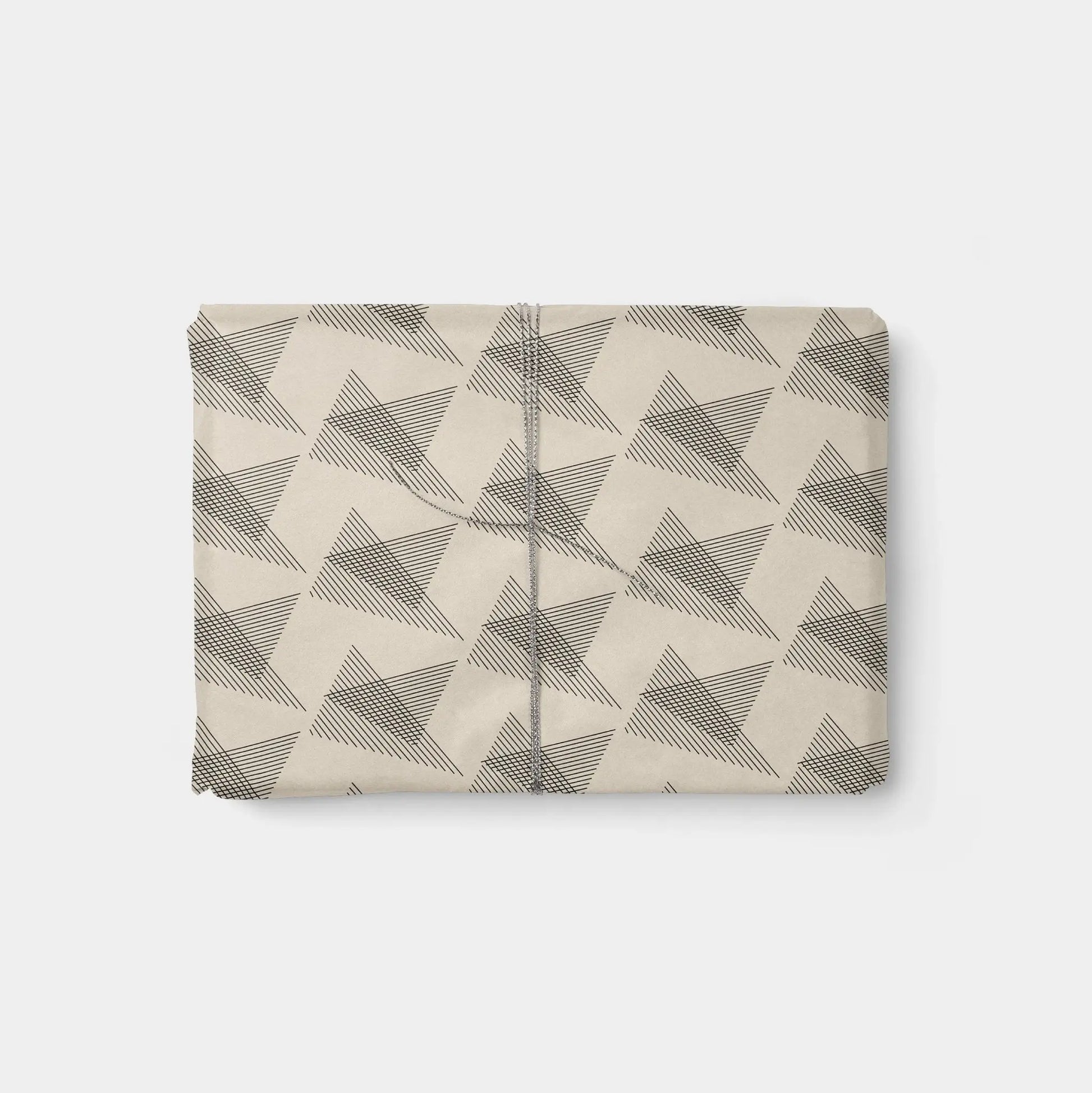 Modern Planes Gift Wrap