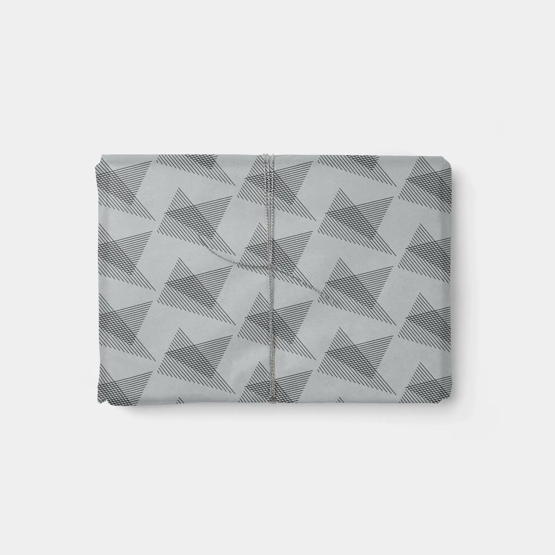 Modern Planes Gift Wrap