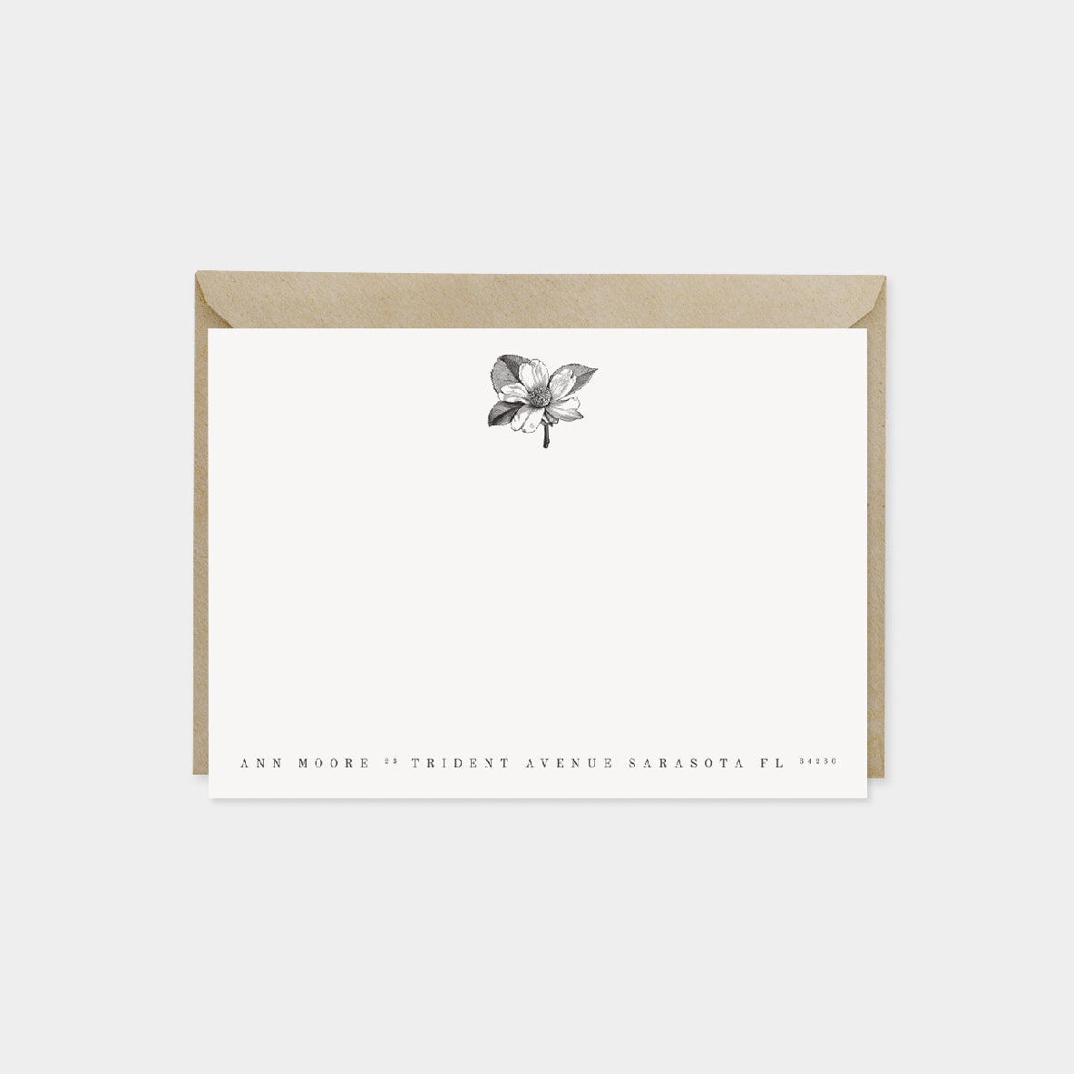 Moringa Oliefera Botanical Note Cards-The Design Craft