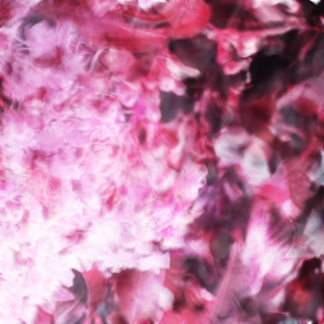 Pink Flora-Video Art-The Design Craft