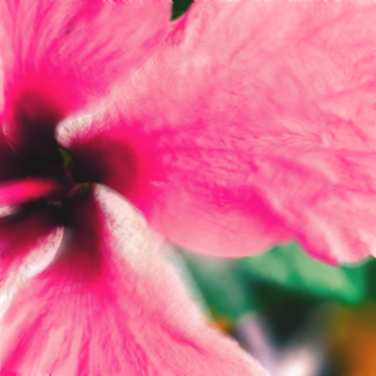 Pink Tropical Flora-Video Art-The Design Craft