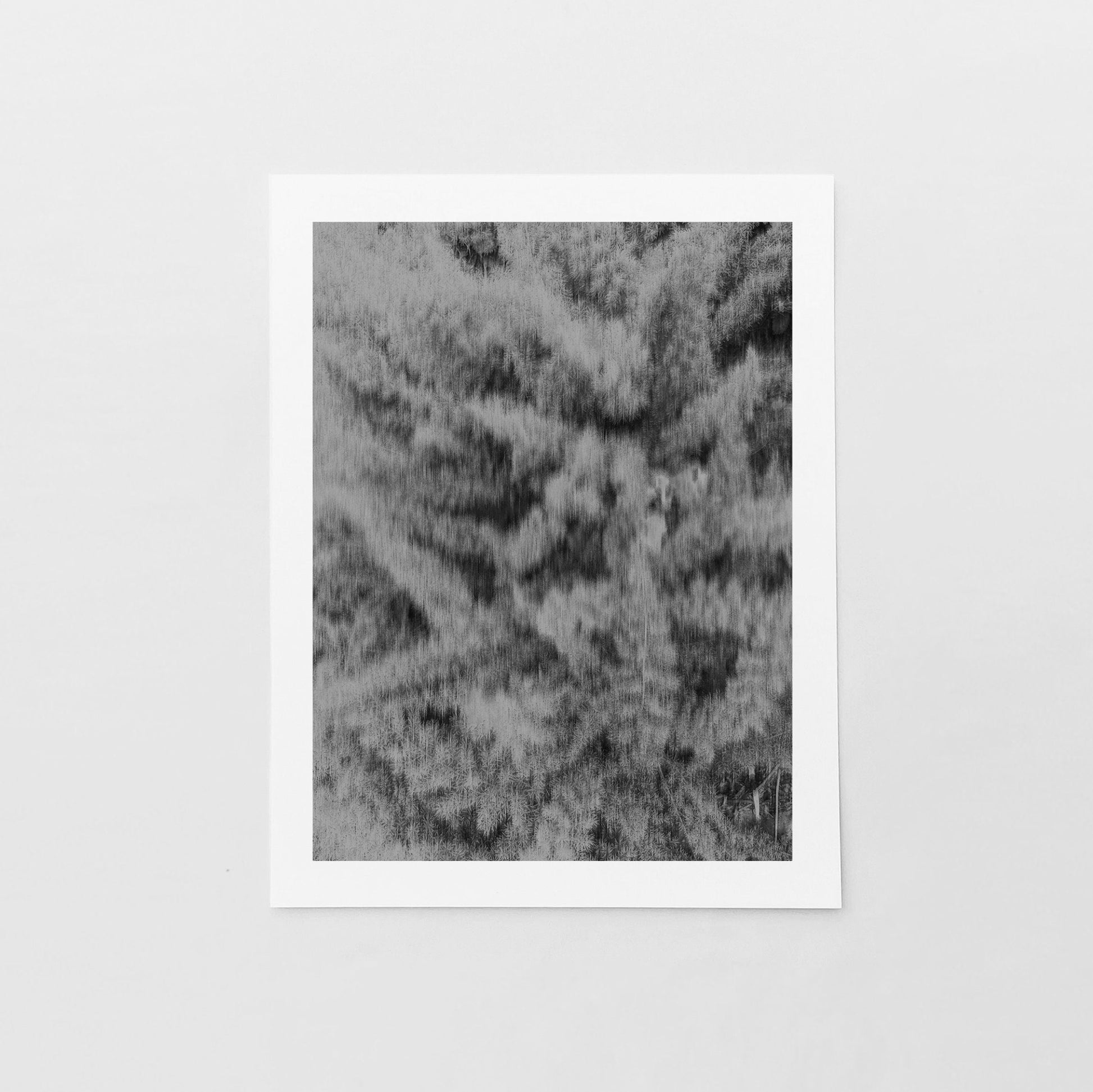 Tropical Foliage Black and White Art-The Design Craft