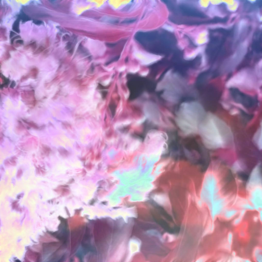 Vibrant Flora-Video Art-The Design Craft