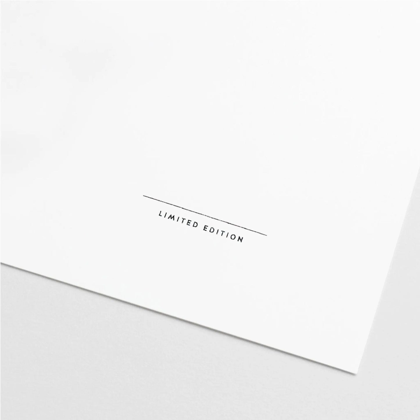 Blank Artist Limited Edition Signature