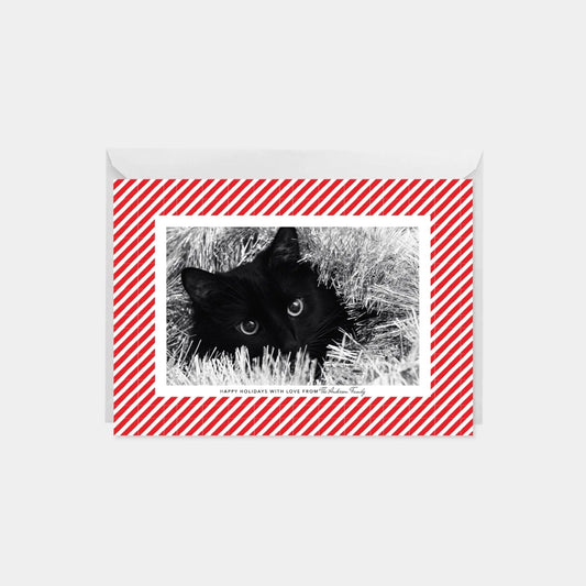 Candy Stripe Holiday Photo Card