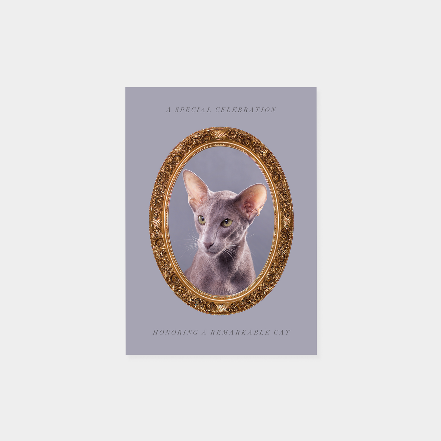 Pet Portrait Card III