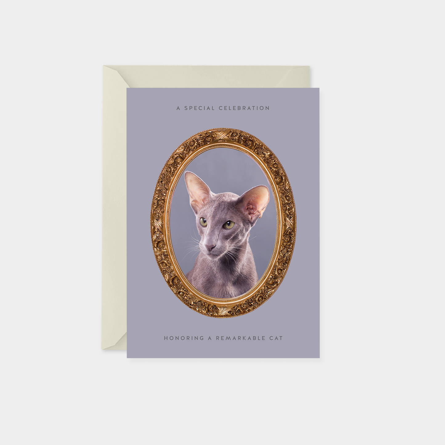 Pet Portrait Card III