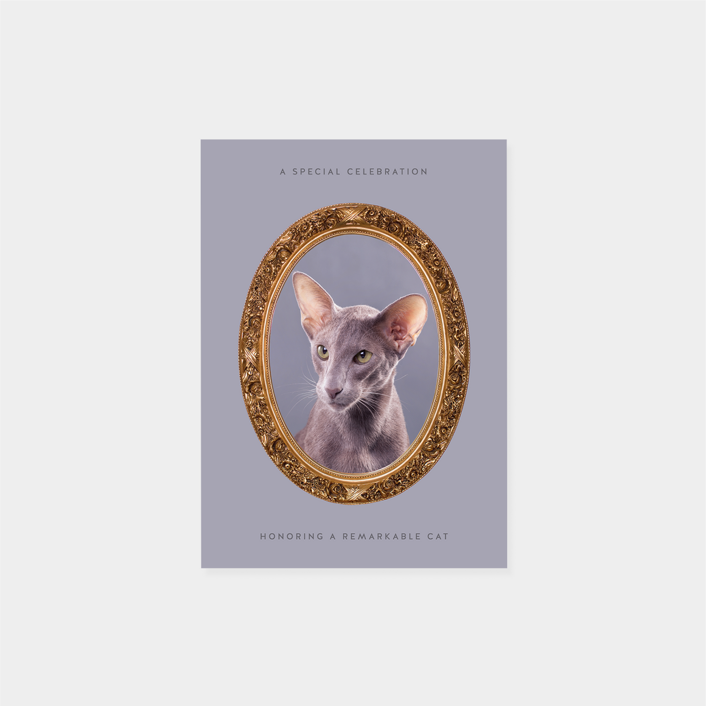 Pet Portrait Card II