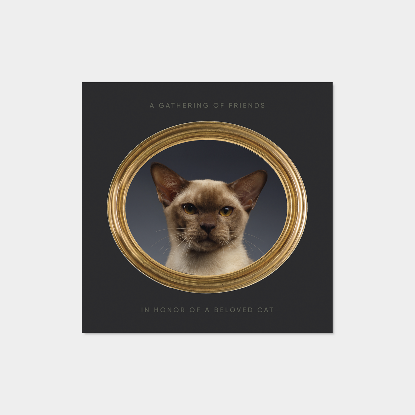 Pet Portrait Square Card