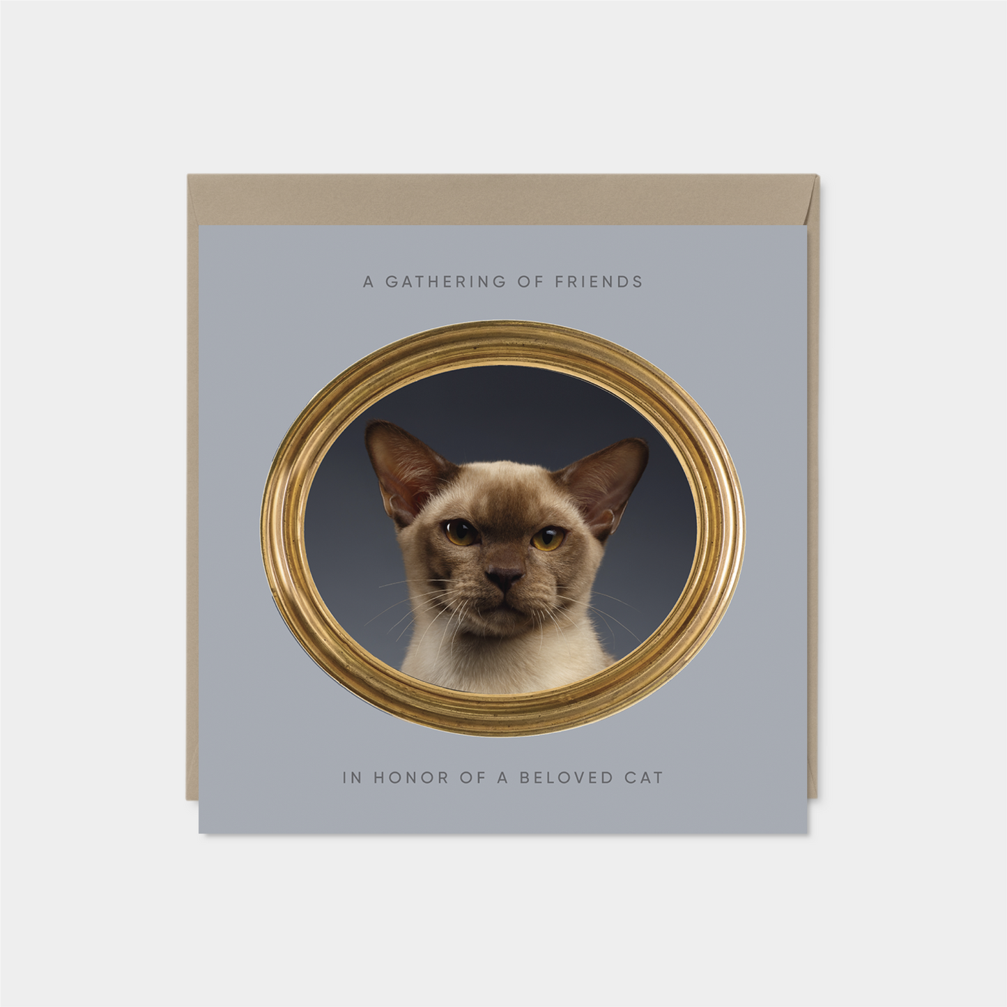 Pet Portrait Square Card II