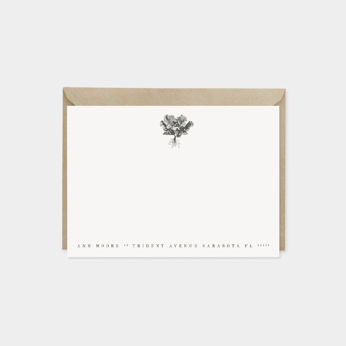 Cauliflower Botanical Note Cards