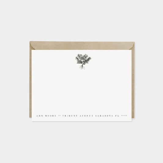 Cauliflower Botanical Note Cards