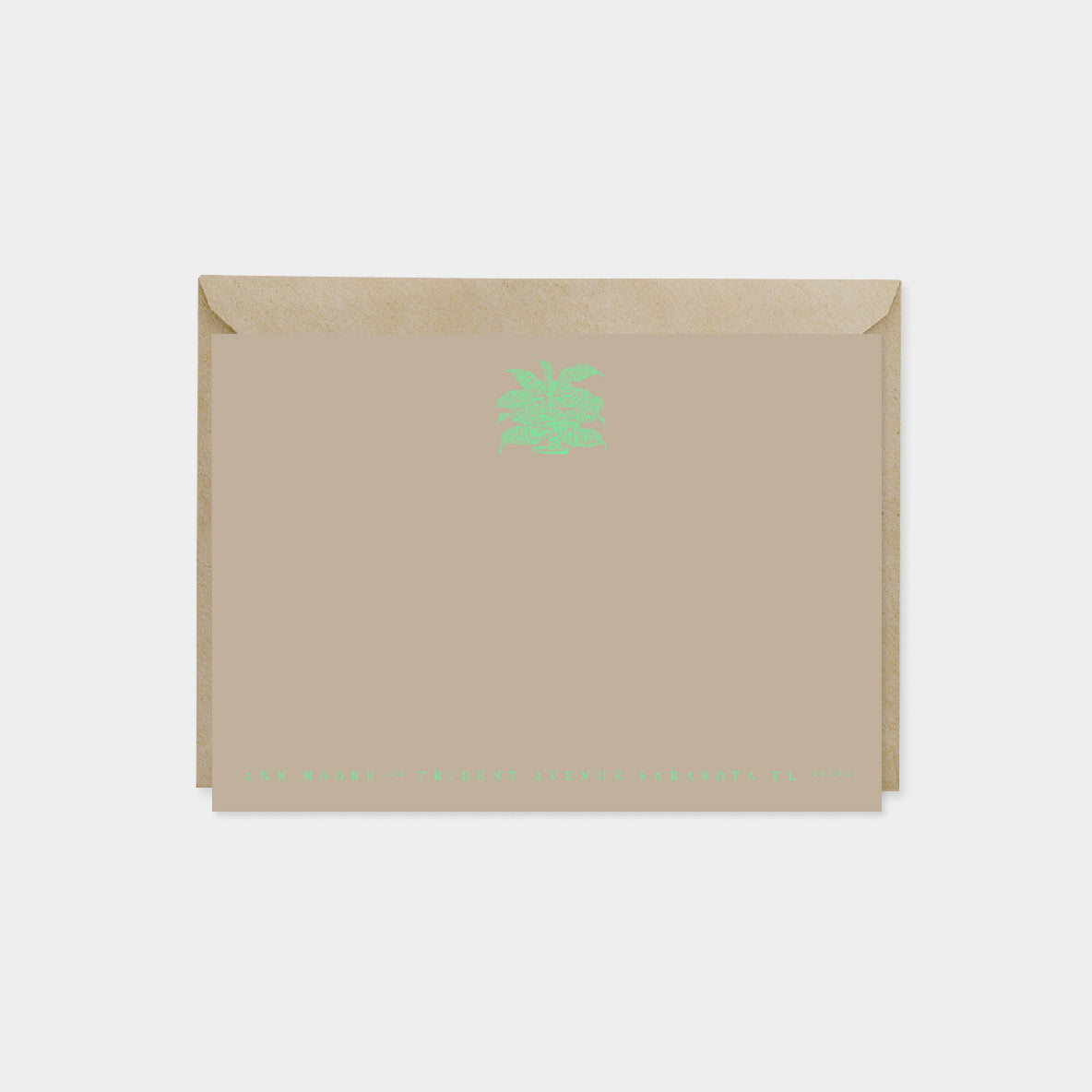 Draceana Botanical Note Cards II