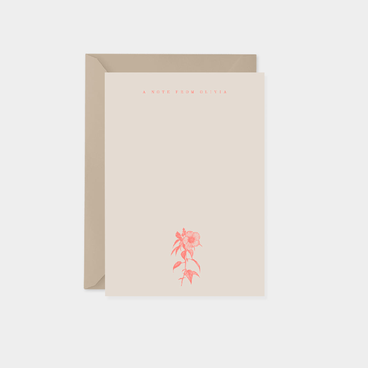 Hibiscus Botanical Note Cards II