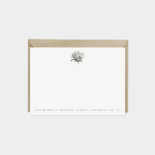 Jasmine Botanical Note Cards