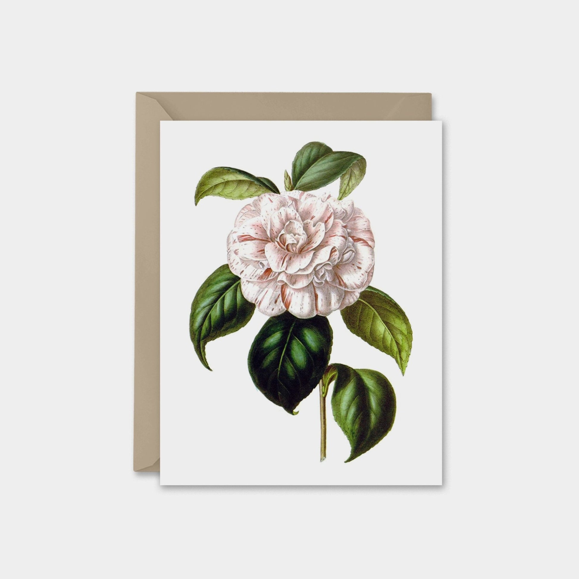 Custom Art Cards, Vintage Botanical Cards, Flower The Design Craft