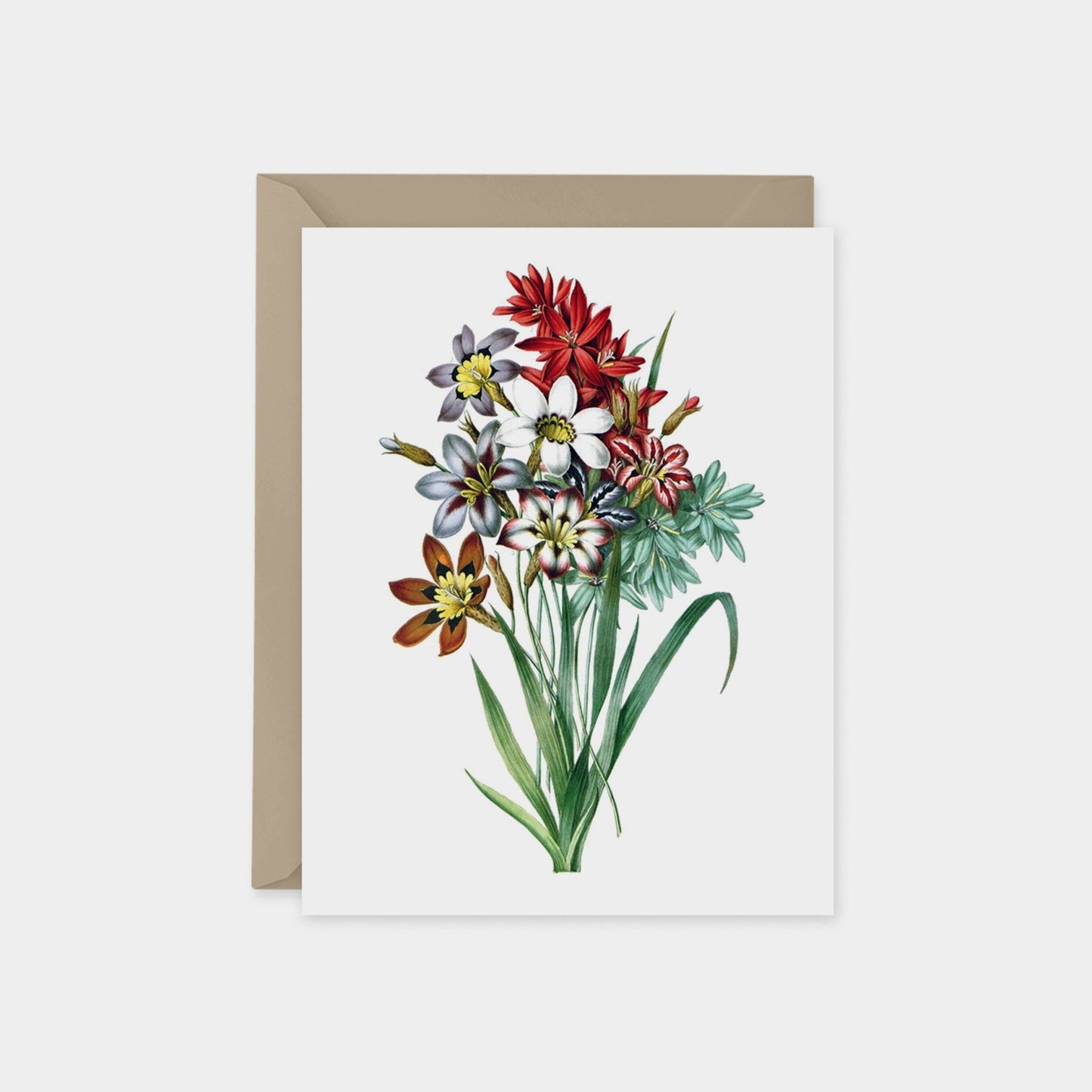Custom Art Cards, Vintage Botanical Cards, Flower The Design Craft