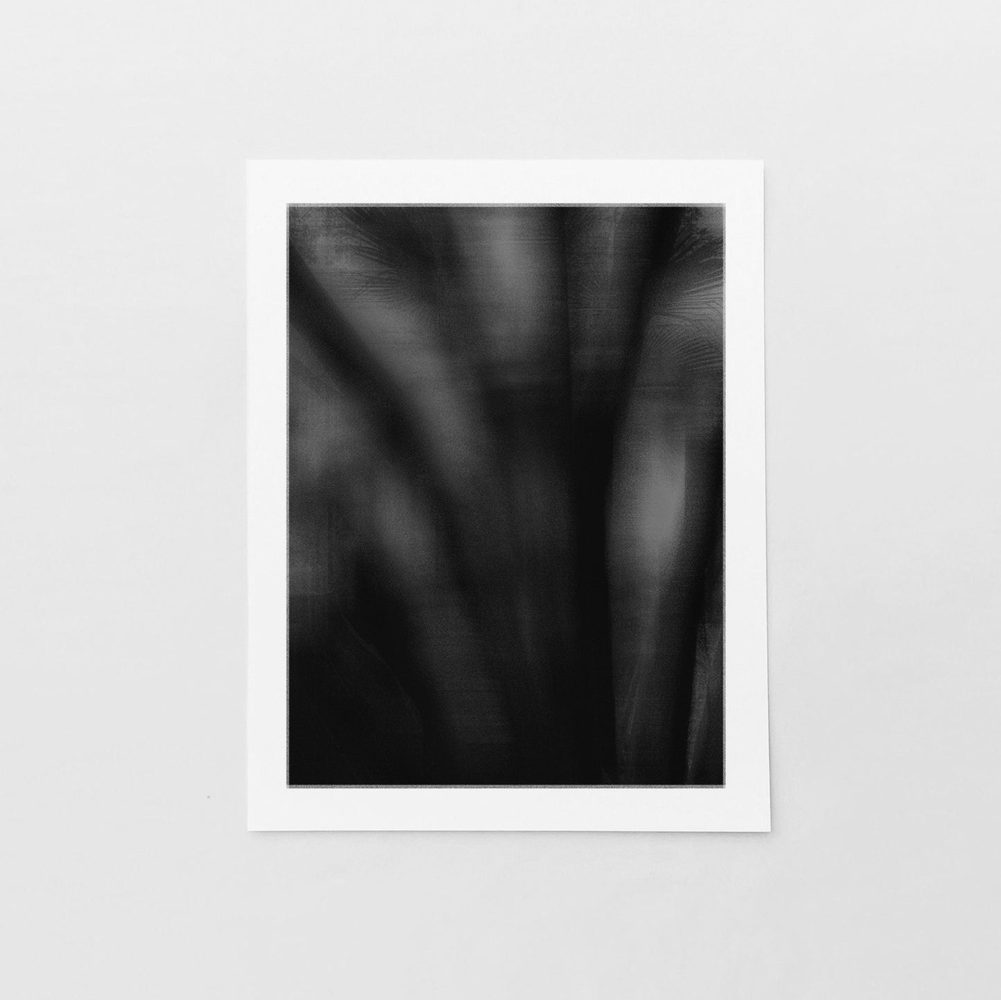 Dark Tropical Abstract Palm Silhouette Black and White Photo The Design Craft