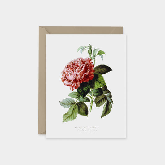 Custom Art Cards, Vintage Botanical Card Set, Flower The Design Craft