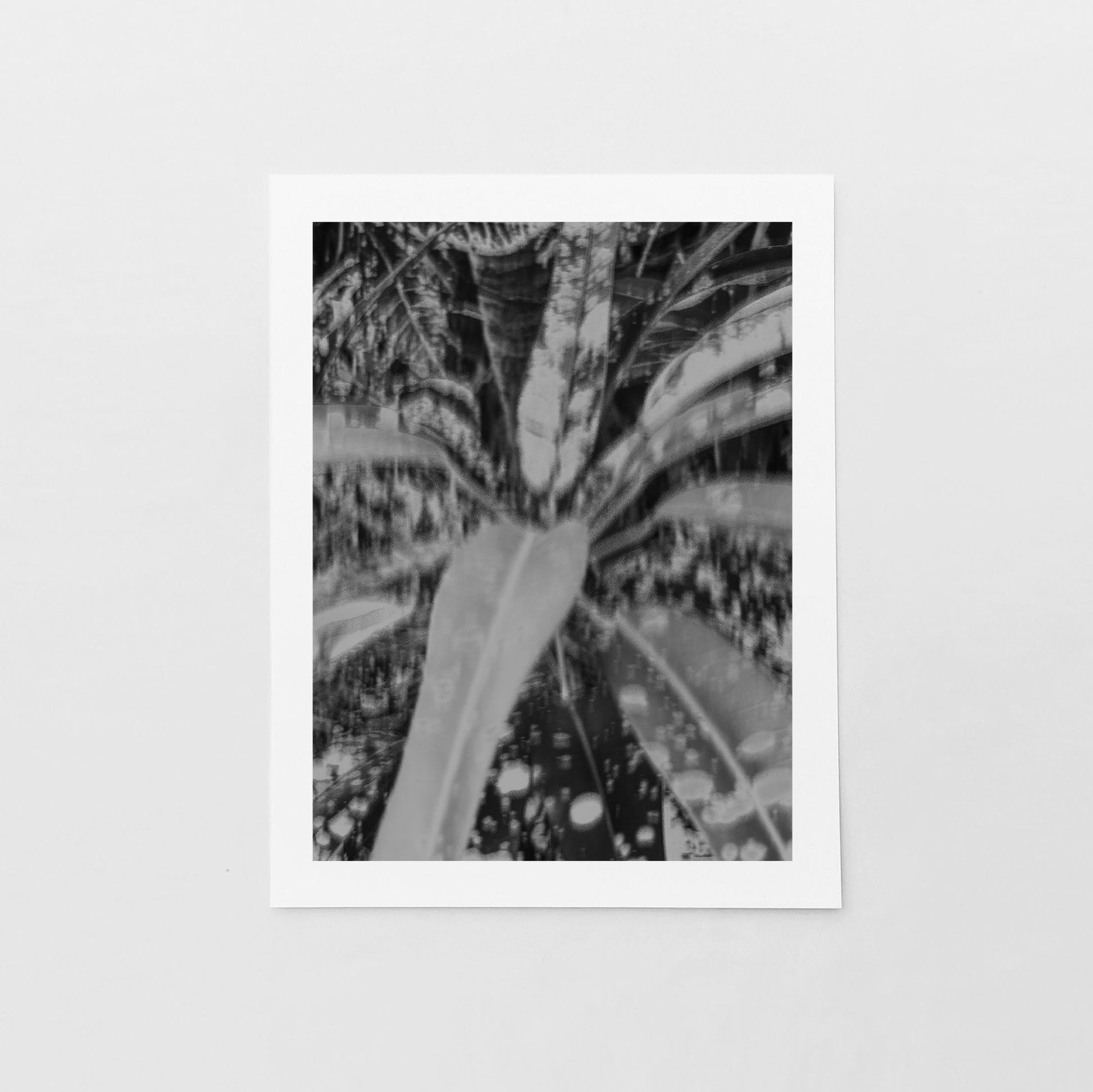 Tropical Foliage Black and White Art Print, Photo Print, The Design Craft